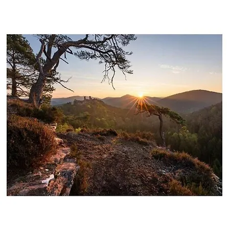 펜션 Glockenhorn 힌터바이덴탈