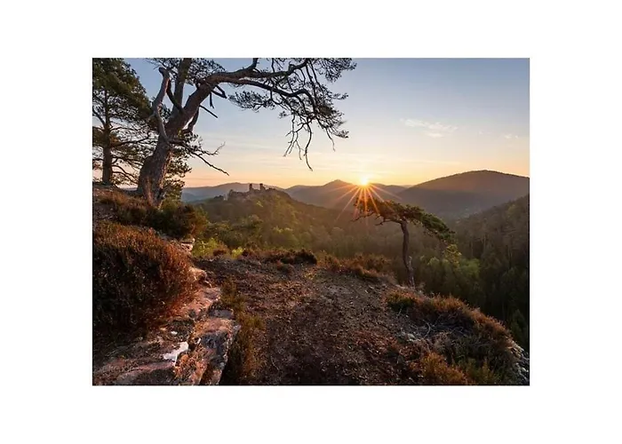 Dom wakacyjny Glockenhorn Hinterweidenthal